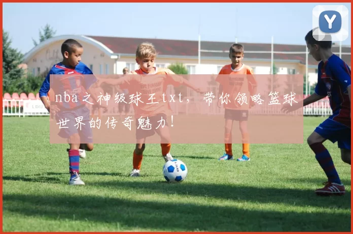 nba之神级球王txt，带你领略篮球世界的传奇魅力！