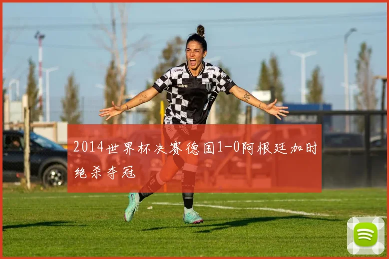2014世界杯决赛德国1-0阿根廷加时绝杀夺冠