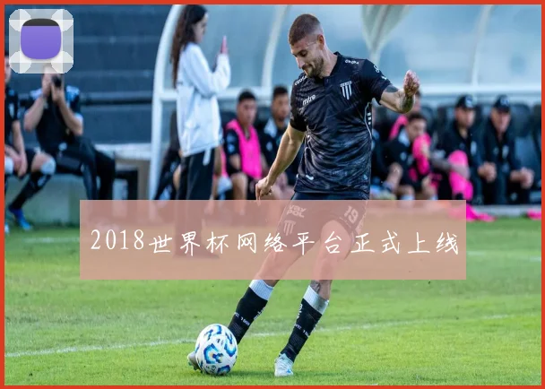 2018世界杯网络平台正式上线